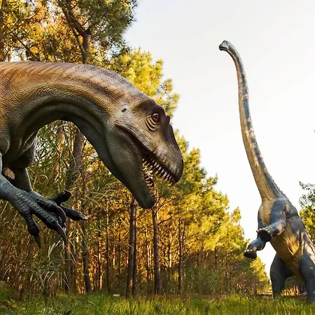 Casa Menezes * 로리냐