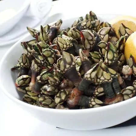 Casa Menezes 아파트