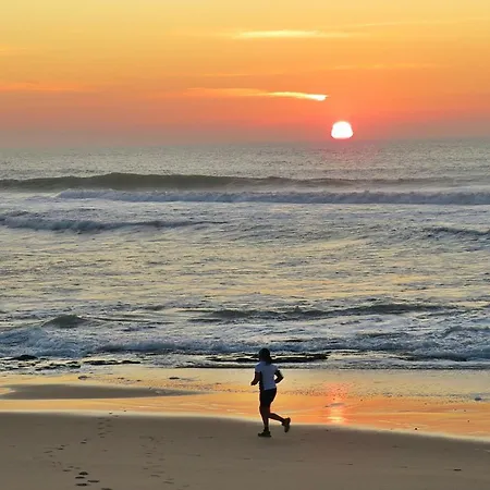 Casa Menezes 아파트 로리냐