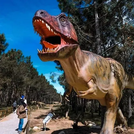 Casa Menezes 아파트 로리냐